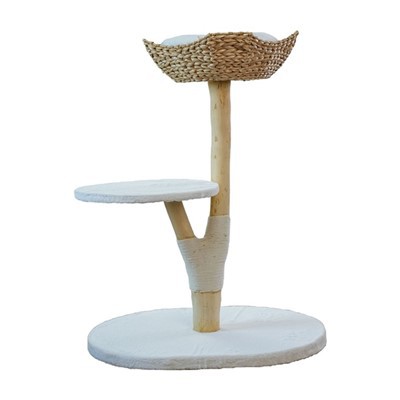 Pokok kucing bakul tenunan