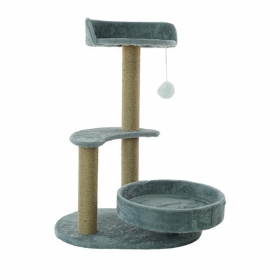 Pokok kucing yang dipasang