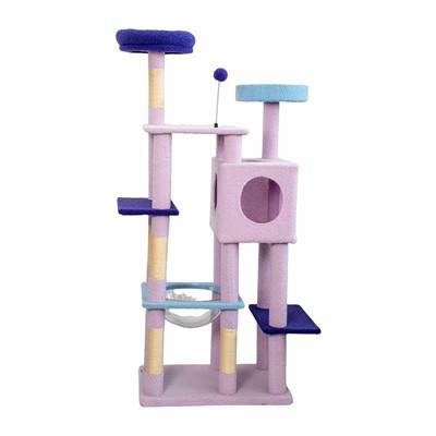 Pokok pokok kucing sebenar