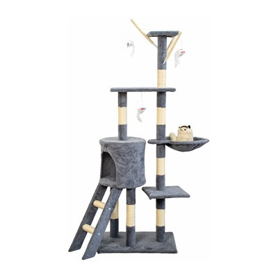 Pokok kucing berongga tersembunyi